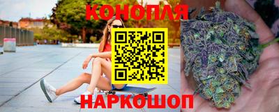 Альфа ПВП Пенза